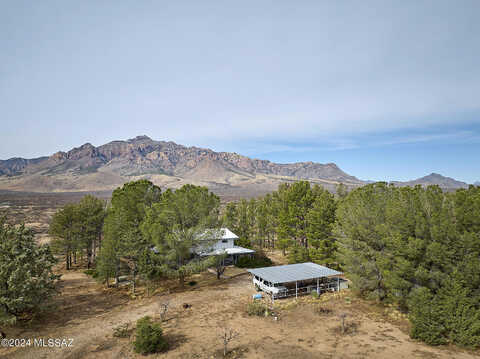 Red Dog, SAN SIMON, AZ 85632