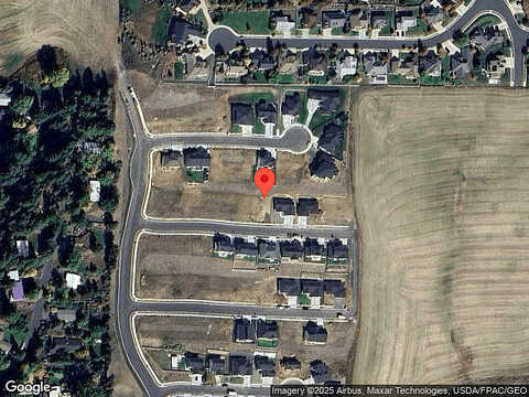 Cayuse, PULLMAN, WA 99163
