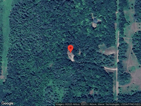Black Bear, BRAINERD, MN 56401
