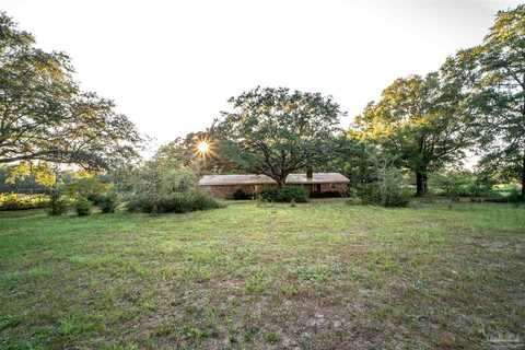 Pine Blossom, MILTON, FL 32570