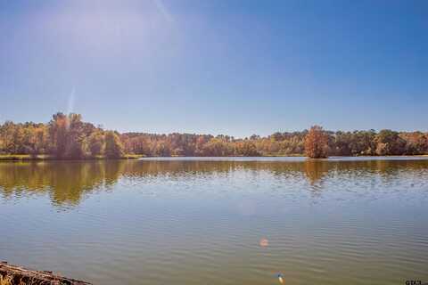 County Road 4114, LINDALE, TX 75771