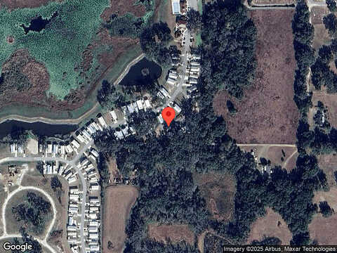 Umbrella Tree, OXFORD, FL 34484