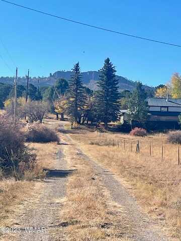 County Road 2315, NUTRIOSO, AZ 85932