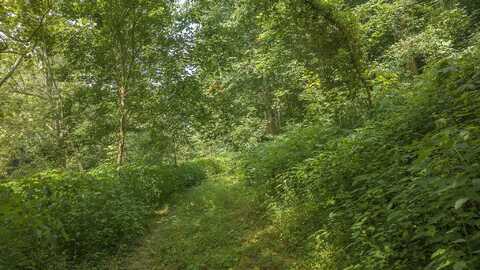 Boulder, DUFFIELD, VA 24244