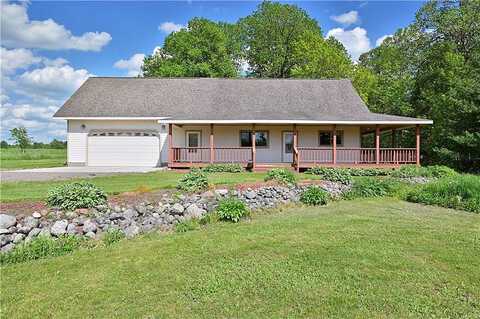 Pioneer, BIRCHWOOD, WI 54817