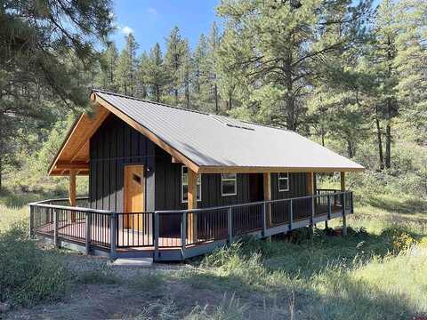 Echo, PAGOSA SPRINGS, CO 81147