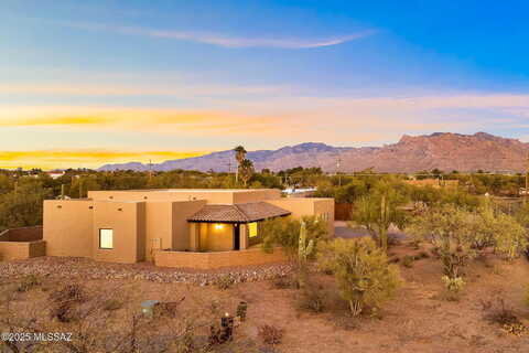 Lobo, TUCSON, AZ 85742