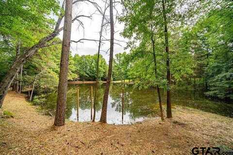 Fm 130, HUGHES SPRINGS, TX 75656