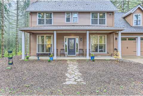 Ne Finnigan Hill Rd, Hillsboro, OR 97123