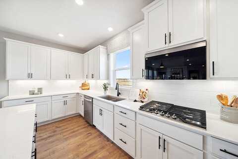 Jensen Alcove S, Cottage Grove, MN 55016
