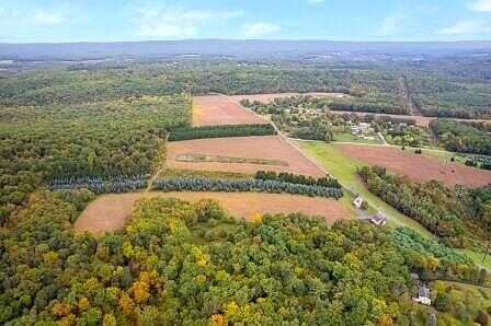 Long Mountain, EFFORT, PA 18330