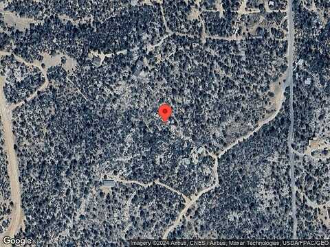 Warbler, PRESCOTT, AZ 86305