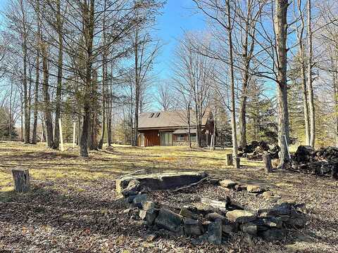 Dennis Hill Rd, Ulysses, PA 16915
