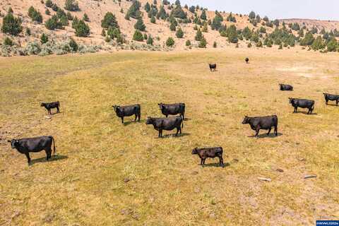 Bennett Rd, Antelope, OR 97001