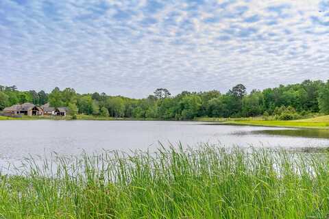 Bralan Dr, Diana, TX 75640