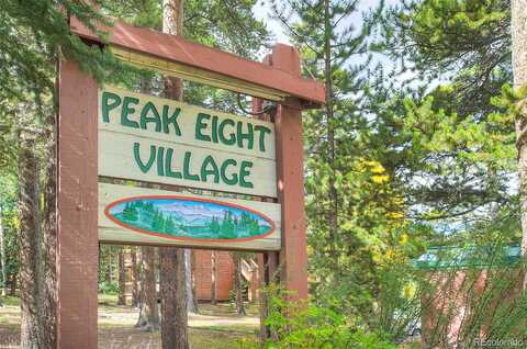 Ski Hill Road #9, Breckenridge, CO 80424