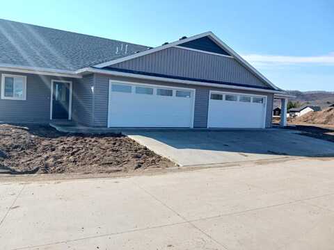 Eagle Lane, Wabasha, MN 55981