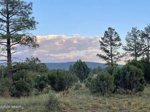 Mountain Creek, LAKESIDE, AZ 85929
