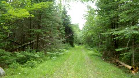 Butternut, ANTIGO, WI 54409