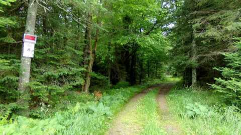 Butternut, ANTIGO, WI 54409