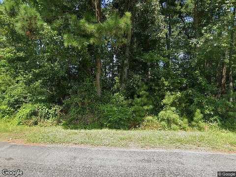 Lot 3 Alliance Road, Surry, VA 23883