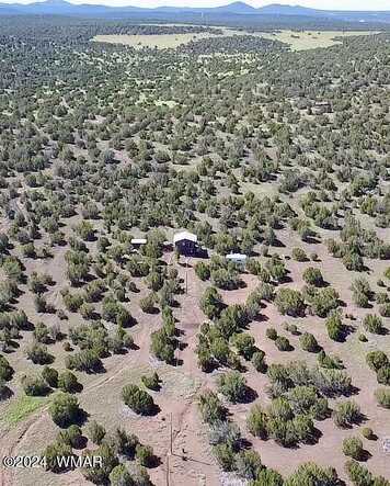North, Concho, AZ 85924