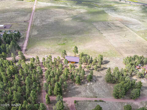 Cr N2261, Alpine, AZ 85920