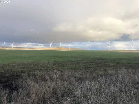 Hoctor, GOLDENDALE, WA 98620