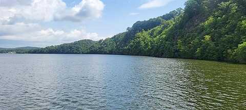 Nunn Hollow, HIWASSEE, VA 24347