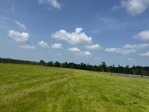 TBD Dykes Walthall Rd, Mccomb, MS 39648