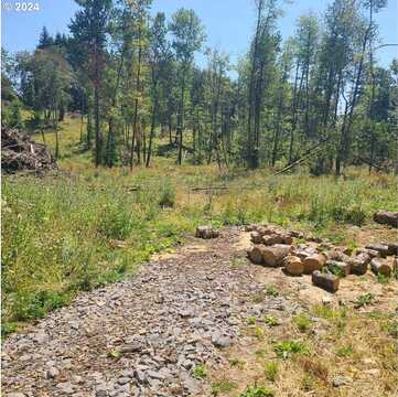 Zion Hill, DAMASCUS, OR 97089