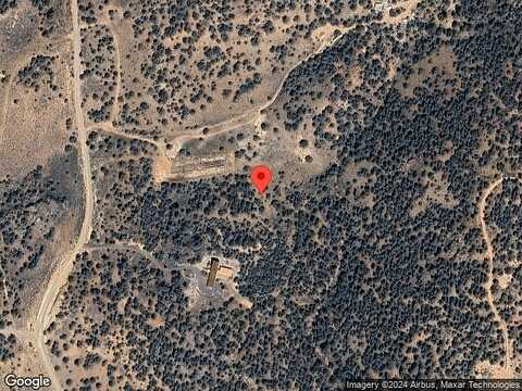 Yellowjacket, RENO, NV 89521