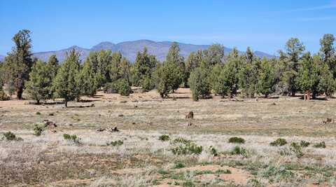 Alfalfa Market, BEND, OR 97701