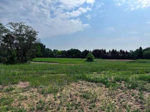 Blazingstar, LAKE ELMO, MN 55042