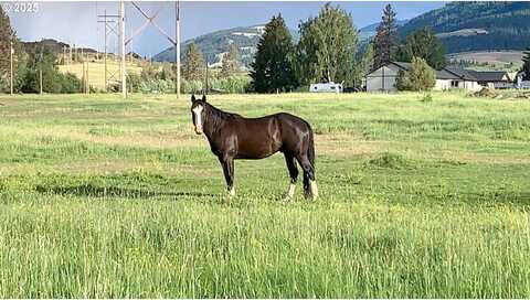 Bear Creek, WALLOWA, OR 97885