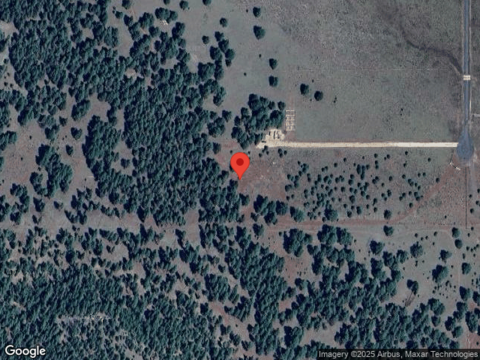 Appaloosa, WILLIAMS, AZ 86046