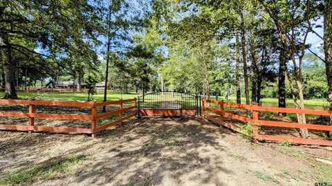 Cumberland, TYLER, TX 75703