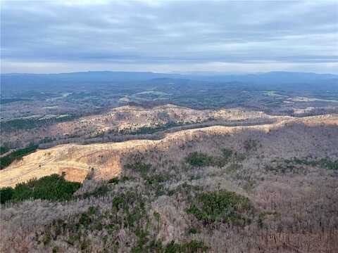 Highgrove Drive, Talking Rock, GA 30175