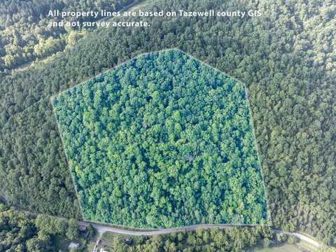 Tbd Dry Fork Road, Cedar Bluff, VA 24609