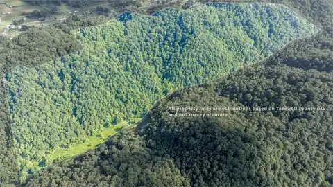Tbd Cliff Road, North Tazewell, VA 24630