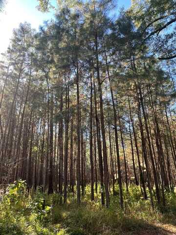 2427 Pierce Chapel Road, Cairo, GA 39827