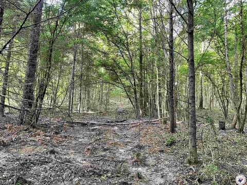 TBD FM 2683, Jefferson, TX 75657
