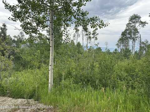 Lot 61 PINE DRIVE, Star Valley Ranch, WY 83127