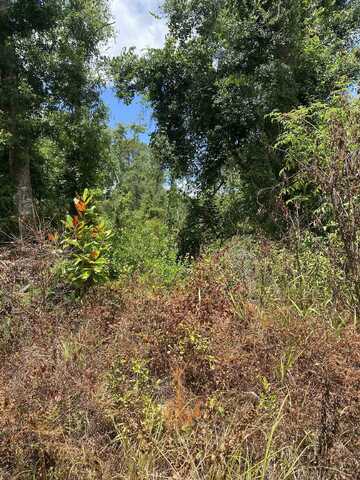 SW Main Street, Greenville, FL 32331