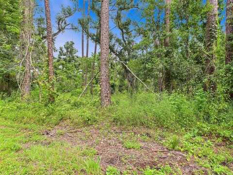 N VETERANS Drive, Perry, FL 32348