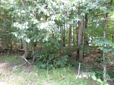 2b Lucy Mae Page Road, Pittsboro, NC 27312