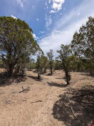 160 Cedar Drive, Arboles, CO 81121