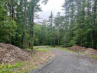 L30.4 Gale Hill Road, Old Chatham, NY 12060