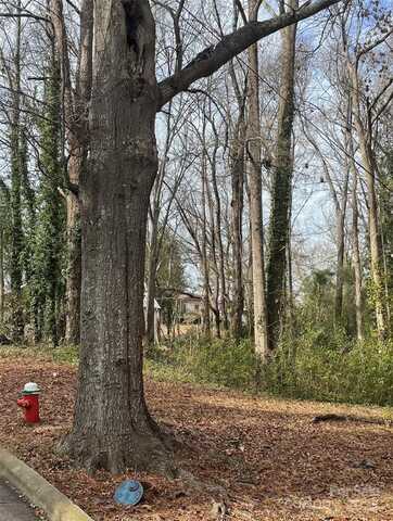 1115 Armstead Street, Rockingham, NC 28379
