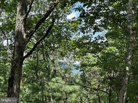 Lot 24 MT SNOW COURT, BASYE, VA 22810